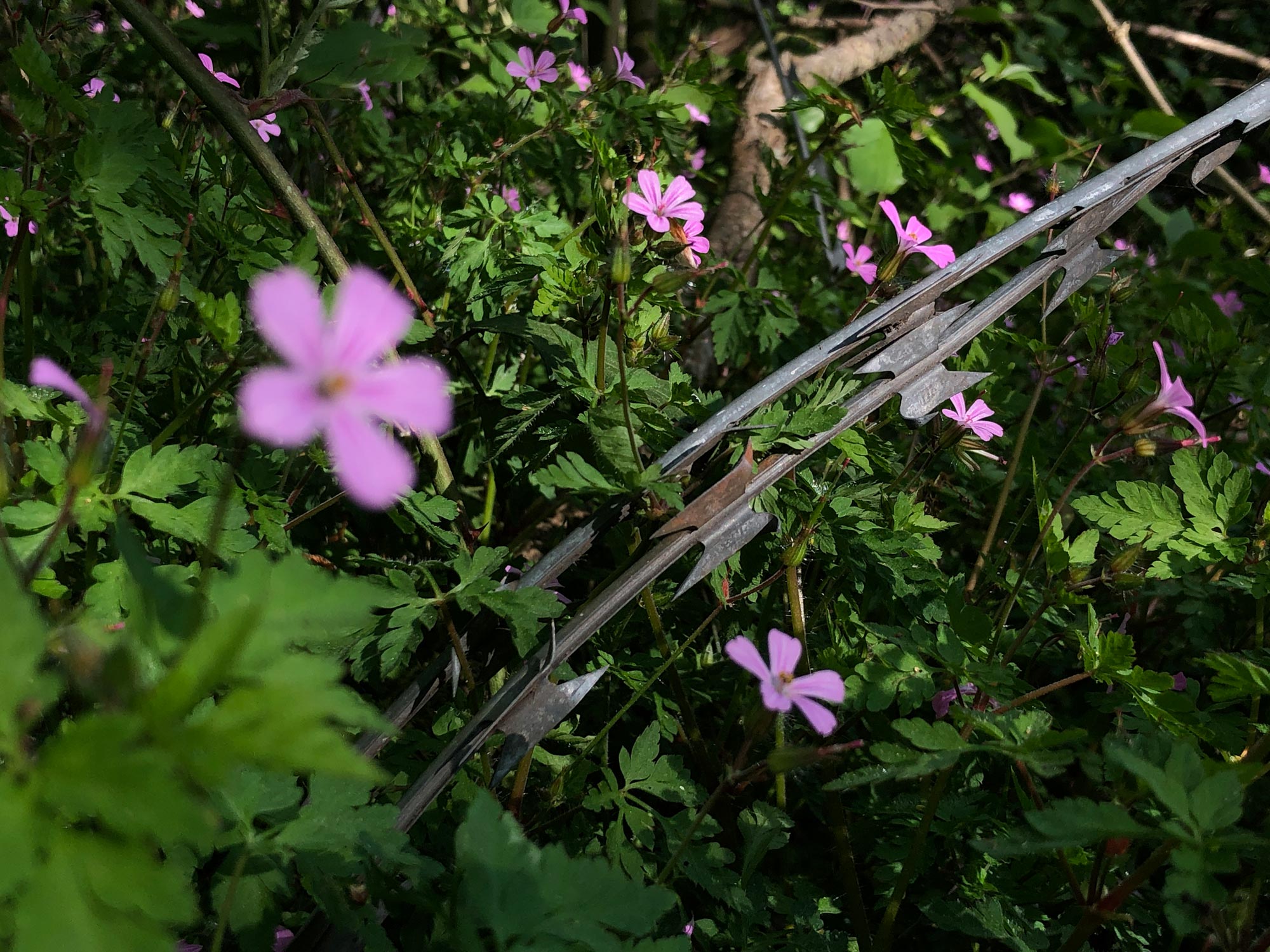 Stephan Machac Düsseldorf Künstler